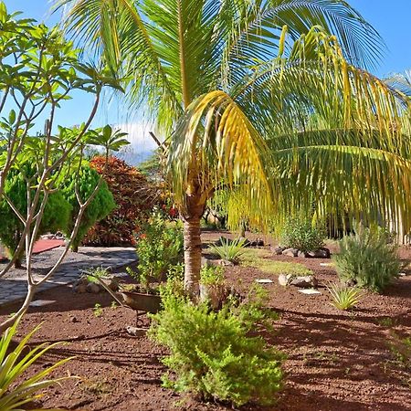 Hotel Jardin Garden De Granada Nicaragua المظهر الخارجي الصورة