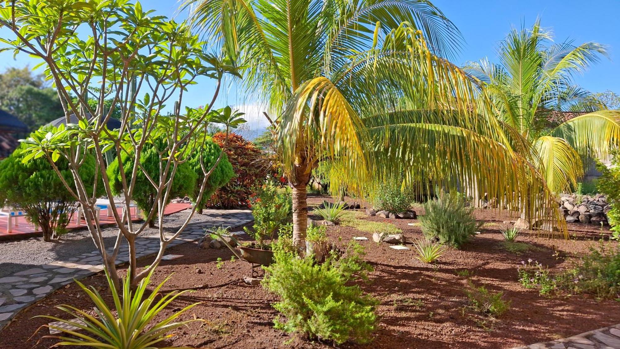 Hotel Jardin Garden De Granada Nicaragua المظهر الخارجي الصورة