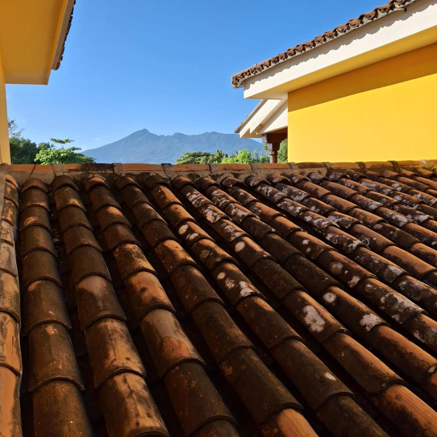 Hotel Jardin Garden De Granada Nicaragua المظهر الخارجي الصورة