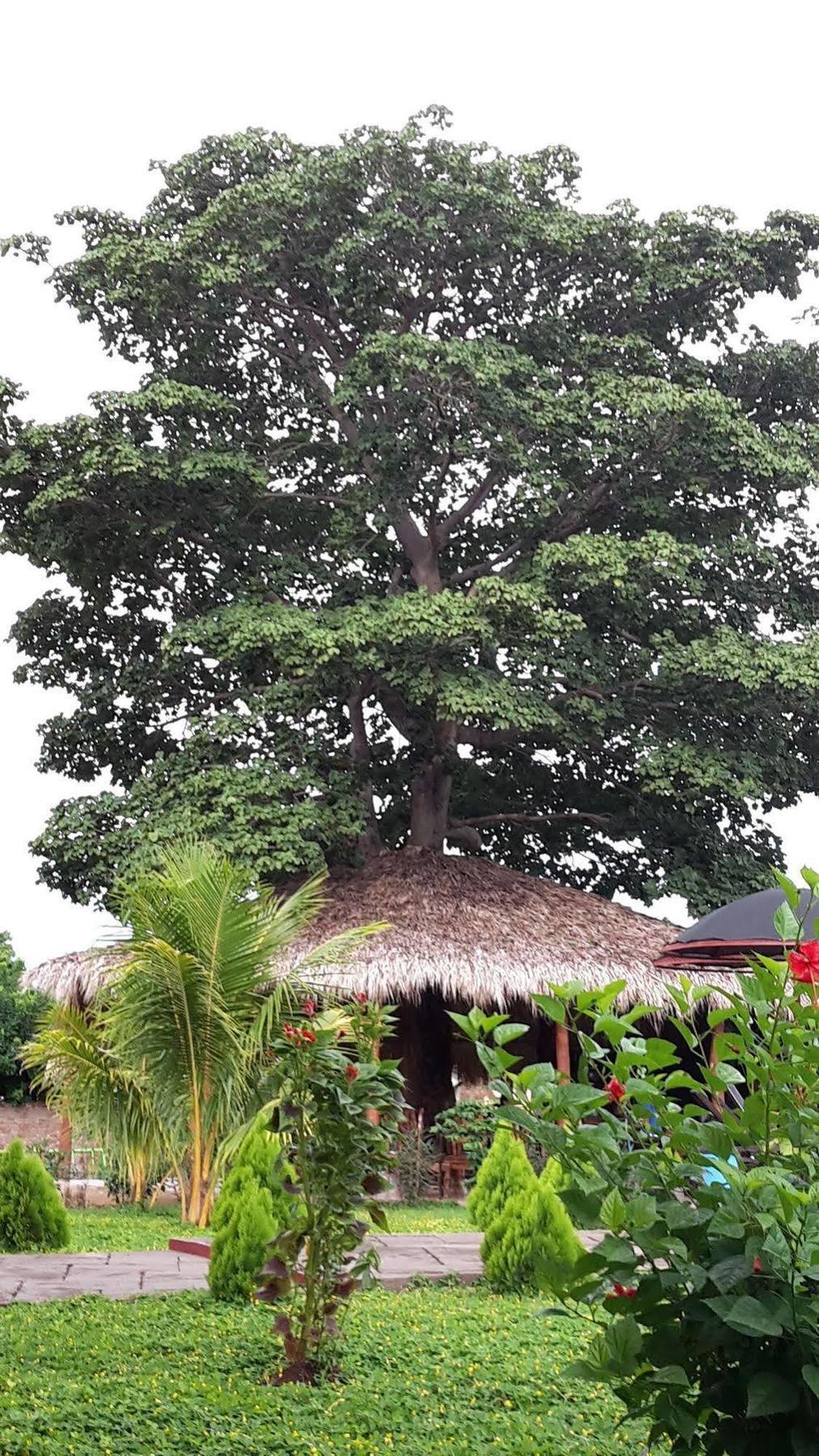 Hotel Jardin Garden De Granada Nicaragua المظهر الخارجي الصورة