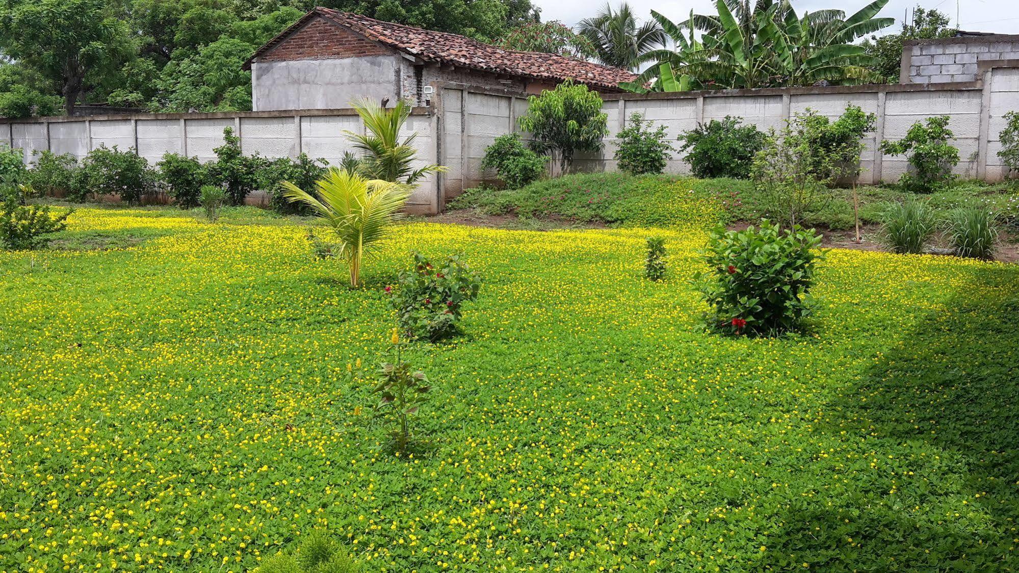 Hotel Jardin Garden De Granada Nicaragua المظهر الخارجي الصورة